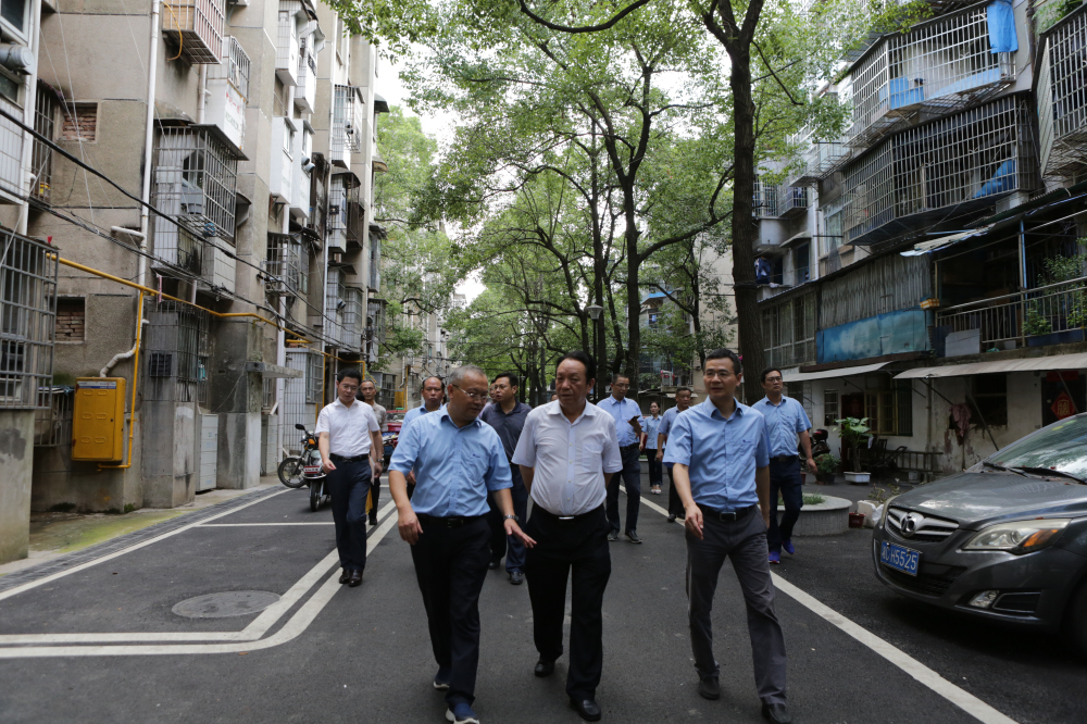 329C3195.jpg 329C3195.jpg